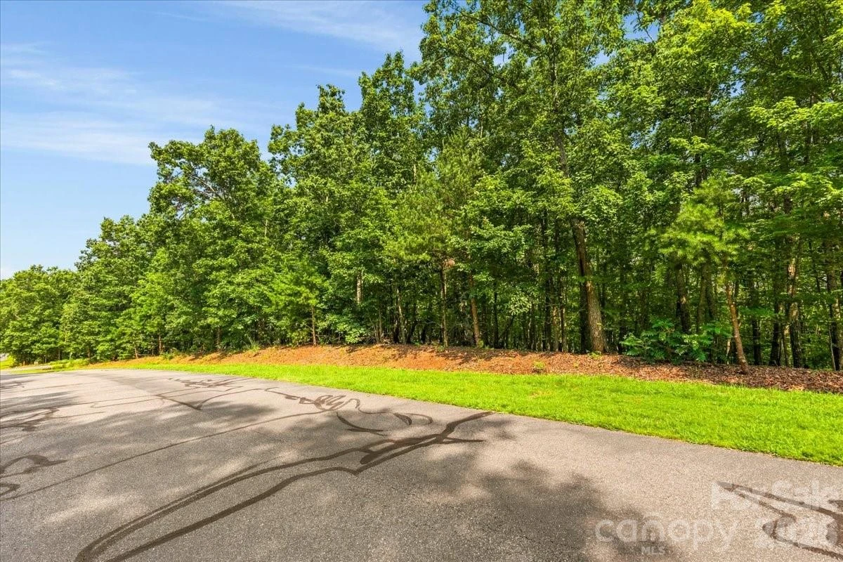 149 Mossy Oak Trail #167 - Photo 2
