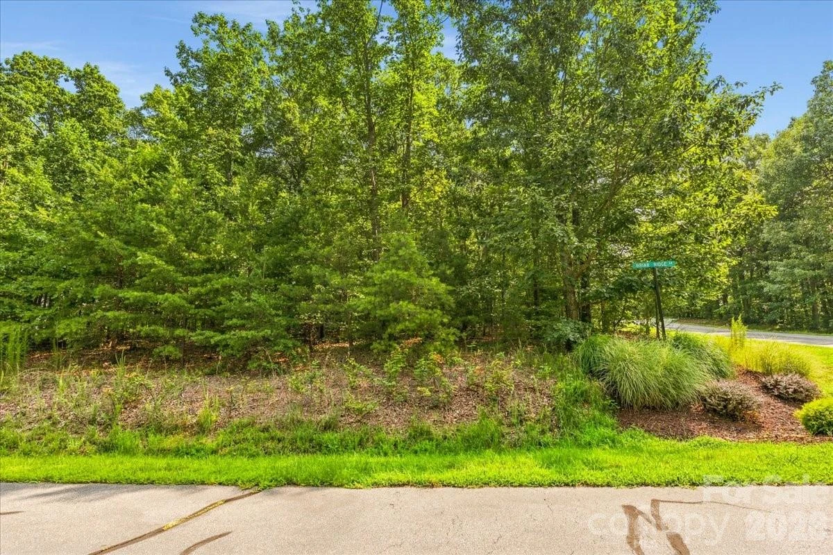 149 Mossy Oak Trail #167 - Photo 3