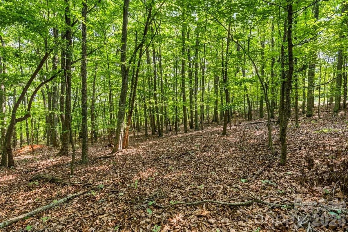 149 Mossy Oak Trail #167 - Photo 4