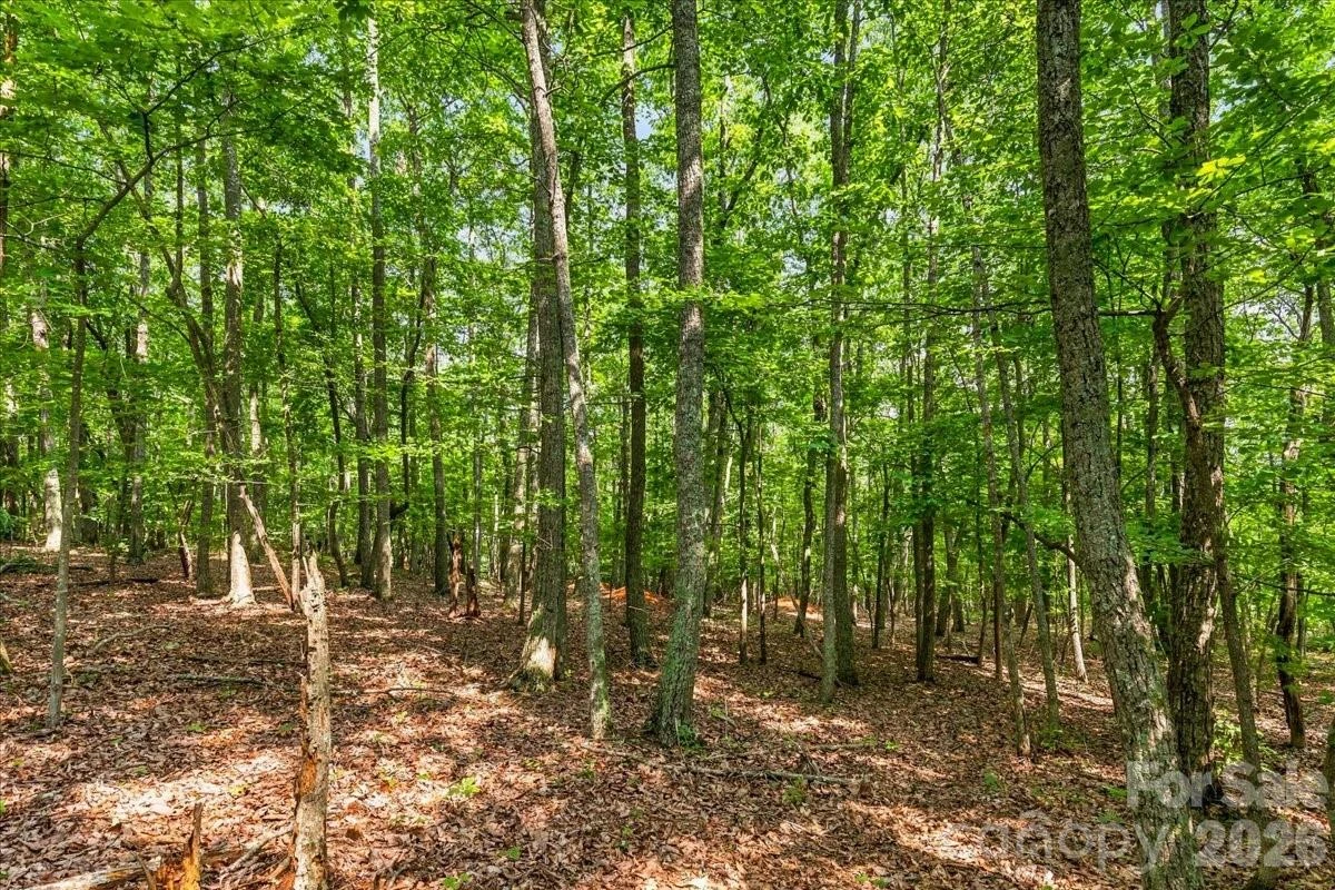 149 Mossy Oak Trail #167 - Photo 5