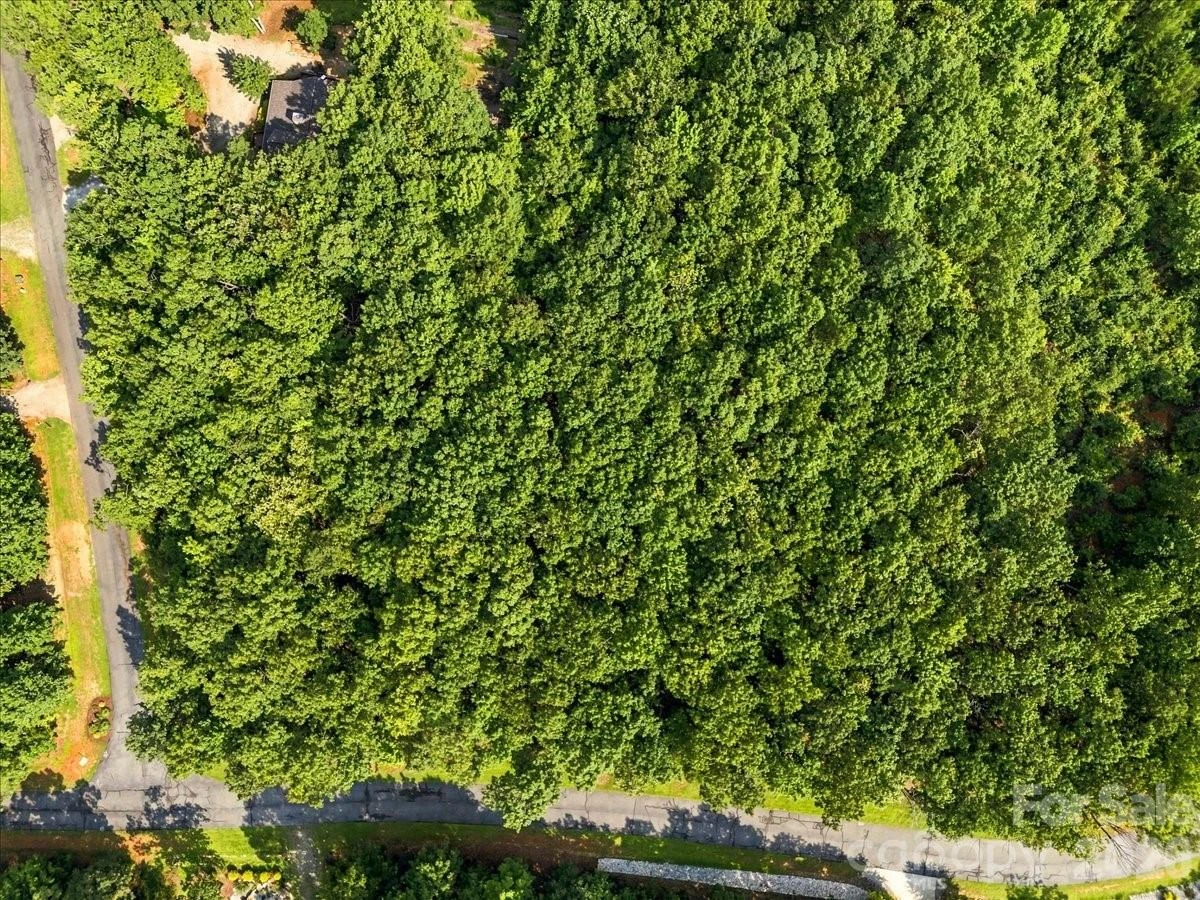 149 Mossy Oak Trail #167 - Photo 7
