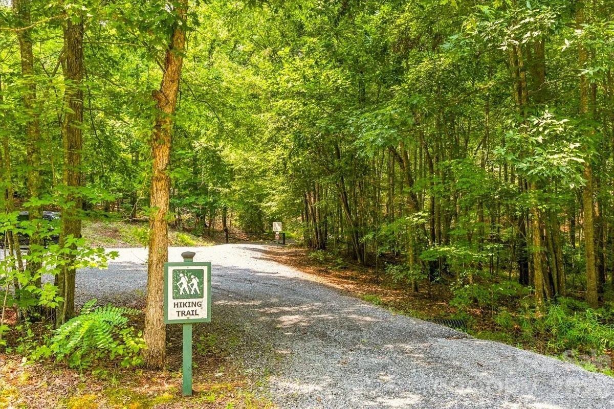 149 Mossy Oak Trail #167 - Photo 35