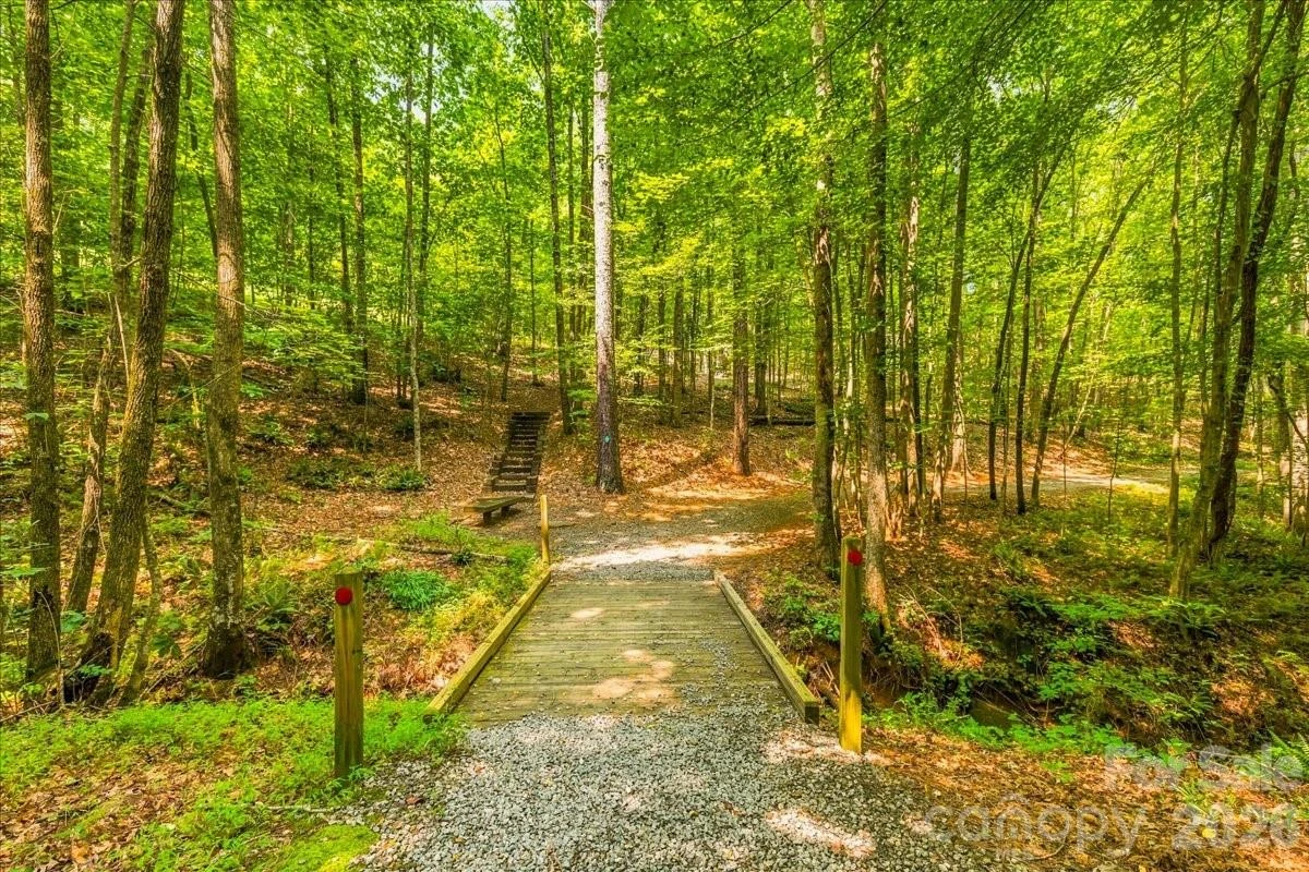 149 Mossy Oak Trail #167 - Photo 37