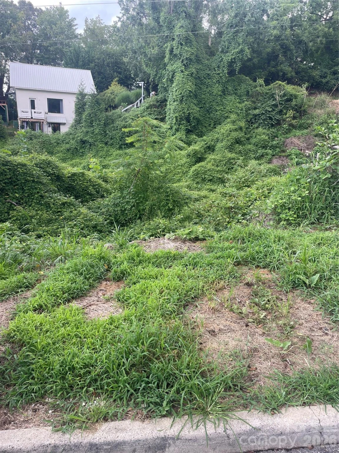 429 W Haywood Street - Photo 3