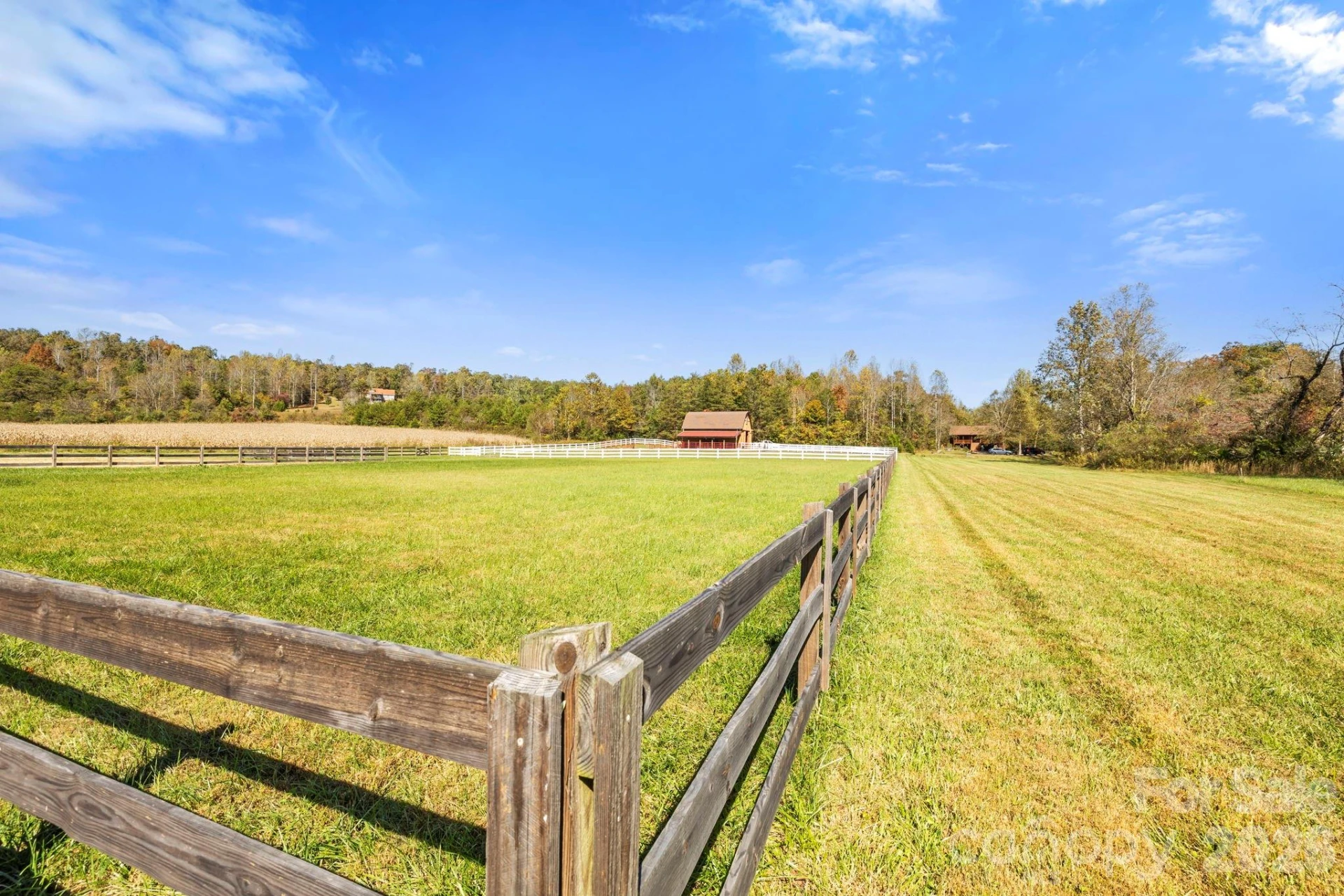 225 Burnt Meadow Lane #169 - Photo 40