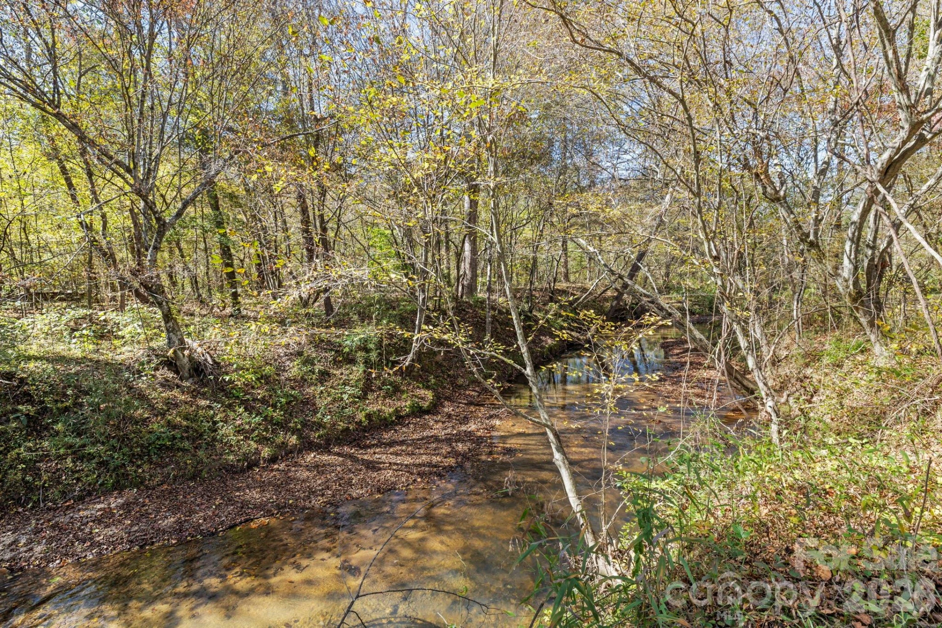 225 Burnt Meadow Lane #169 - Photo 42
