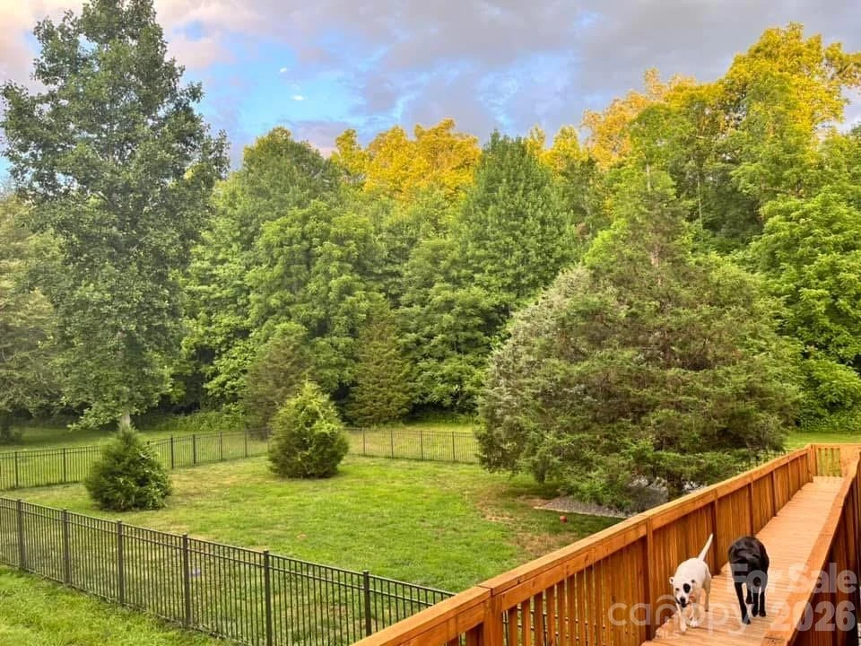 225 Burnt Meadow Lane #169 - Photo 46