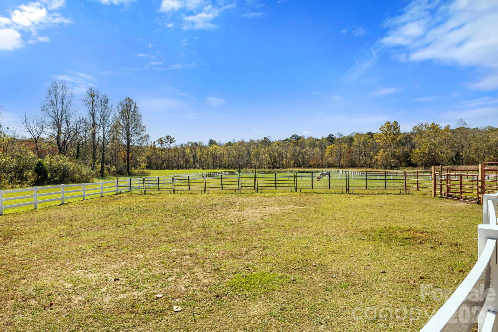 225 Burnt Meadow Lane #169 - Photo 30