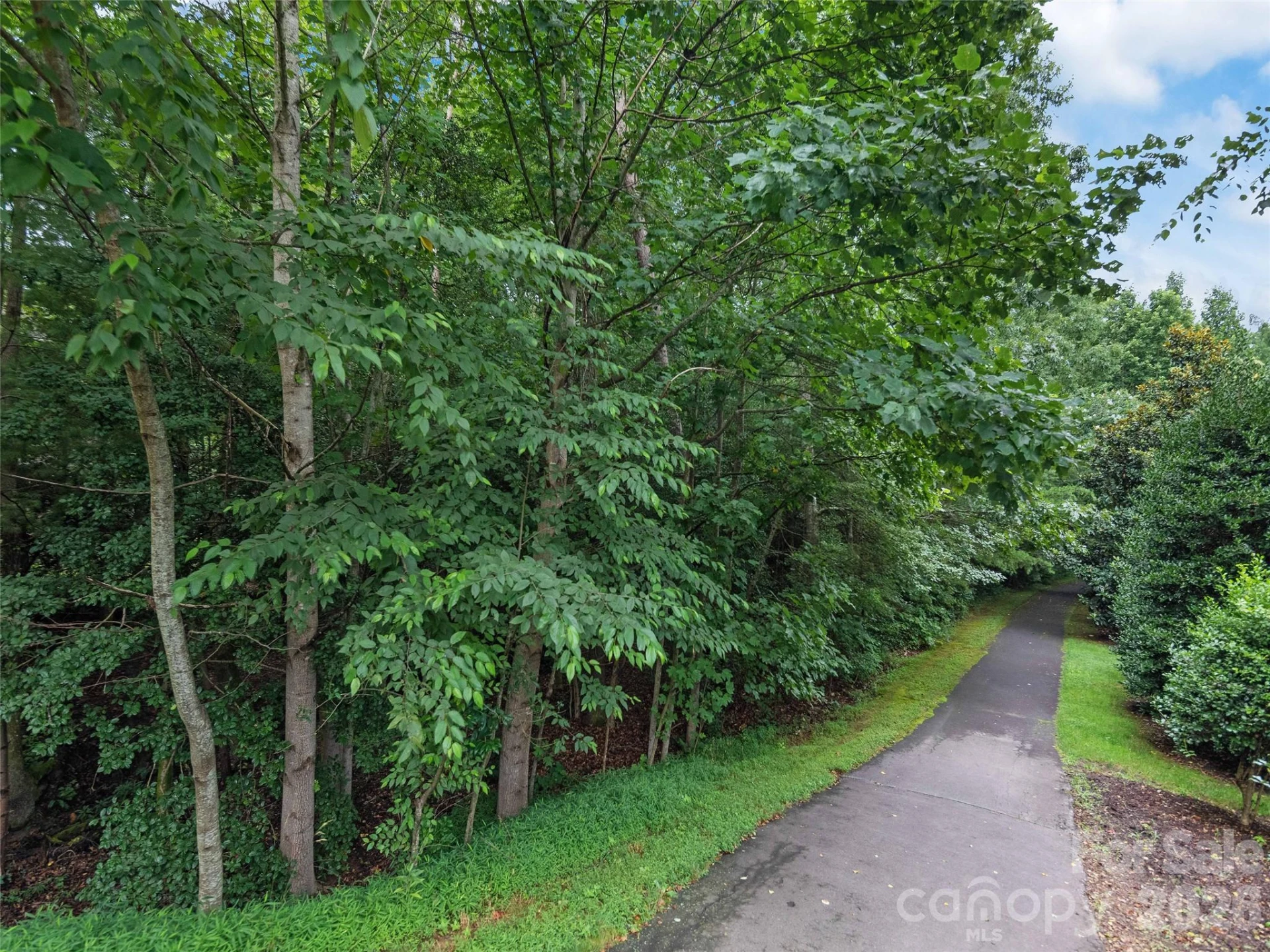 5 Farleigh Street #104 - Photo 25