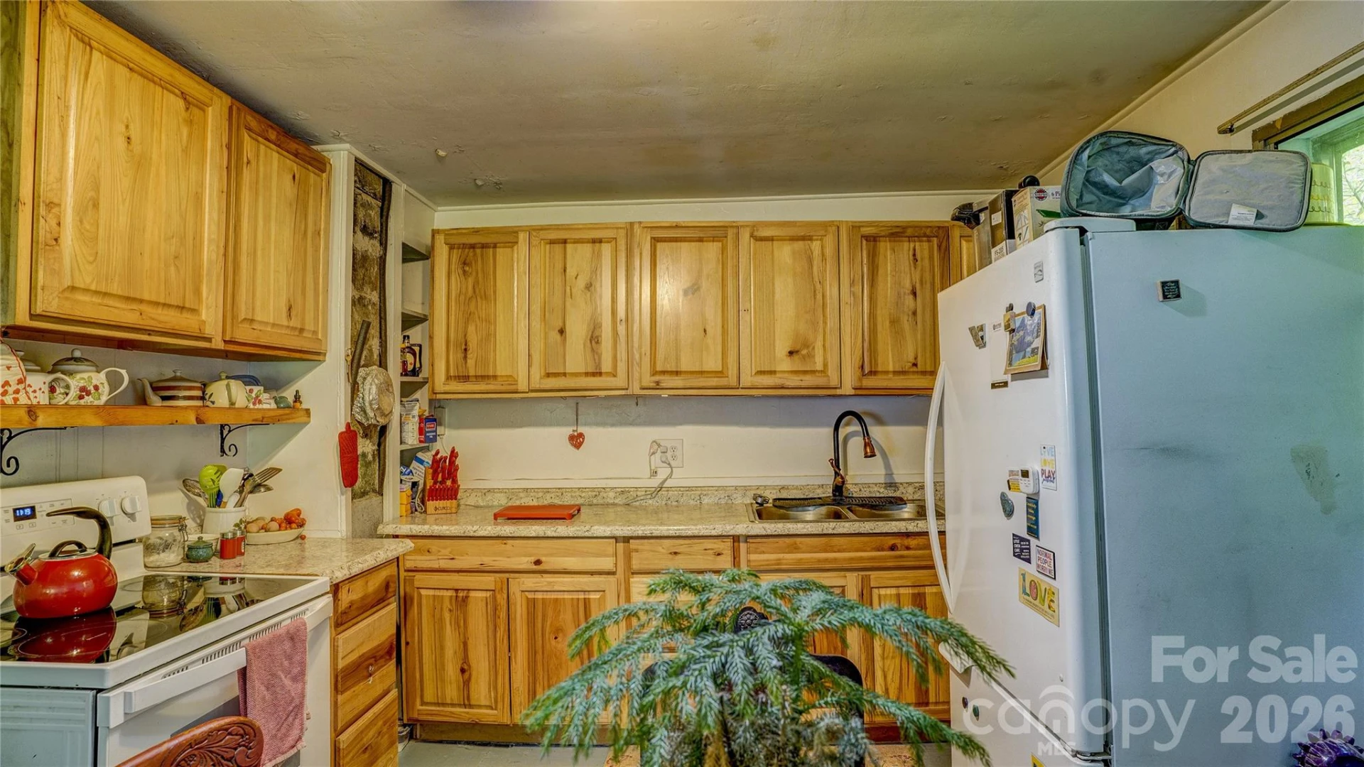 1213 Roaring Fork Road - Photo 9