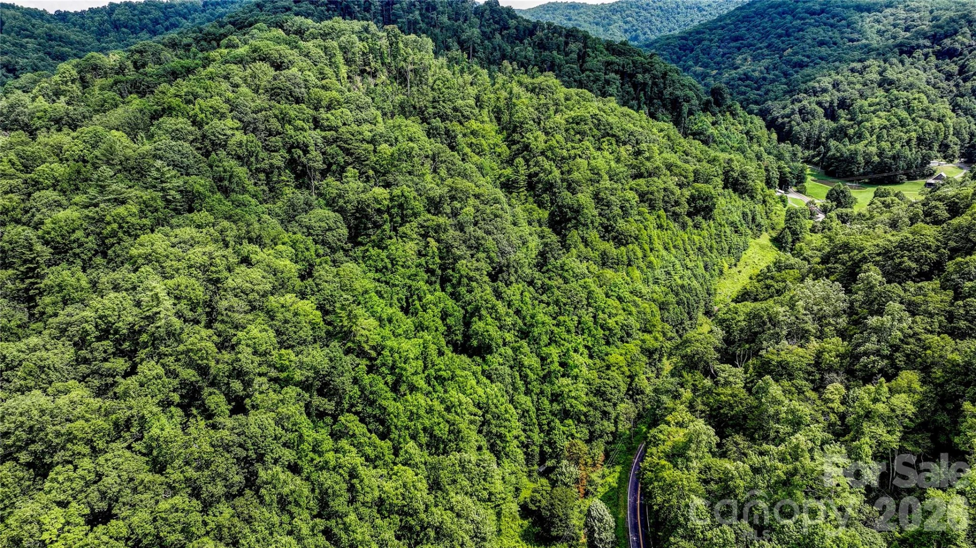 1213 Roaring Fork Road - Photo 29