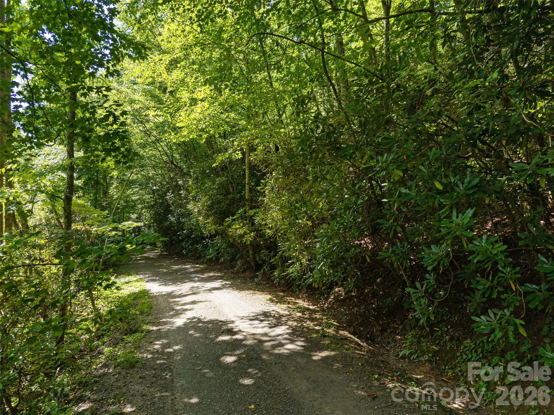 23.53 Acres Ballard Creek Road - Photo 2