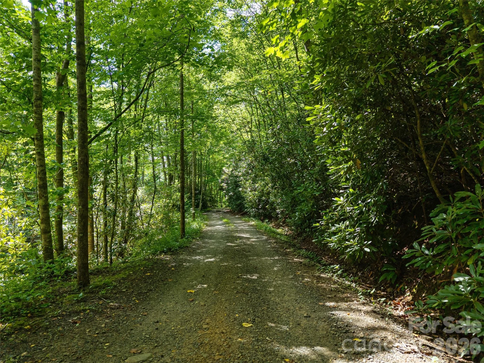 23.53 Acres Ballard Creek Road - Photo 3
