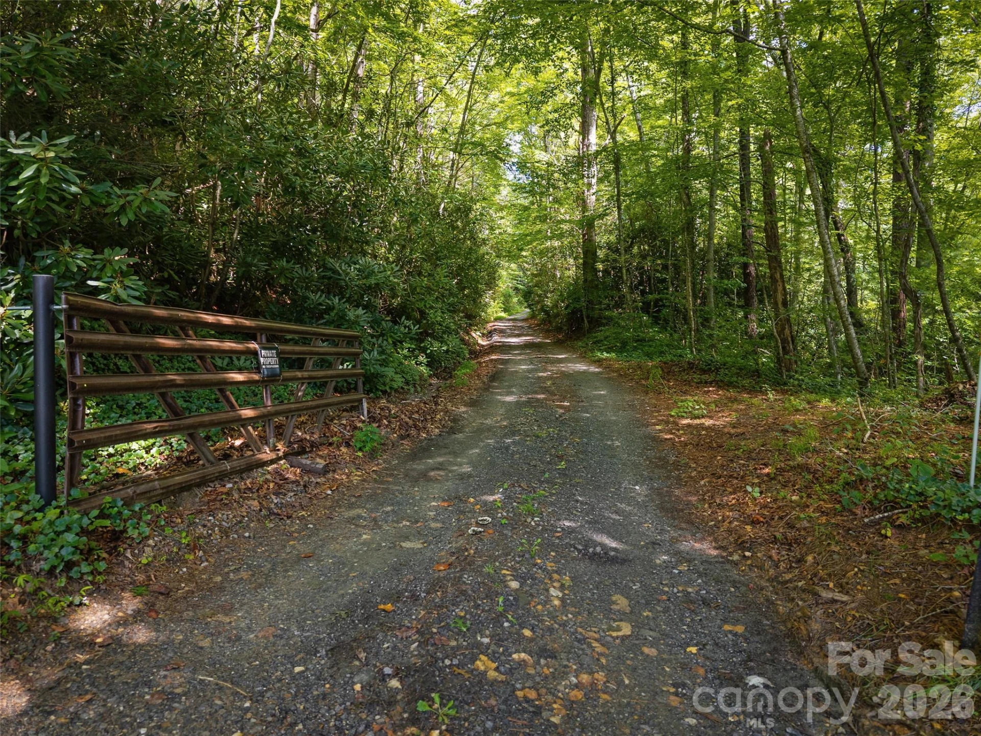 23.53 Acres Ballard Creek Road - Photo 4
