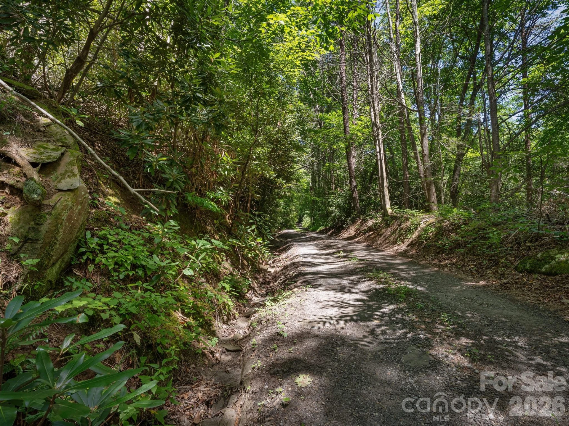 23.53 Acres Ballard Creek Road - Photo 5