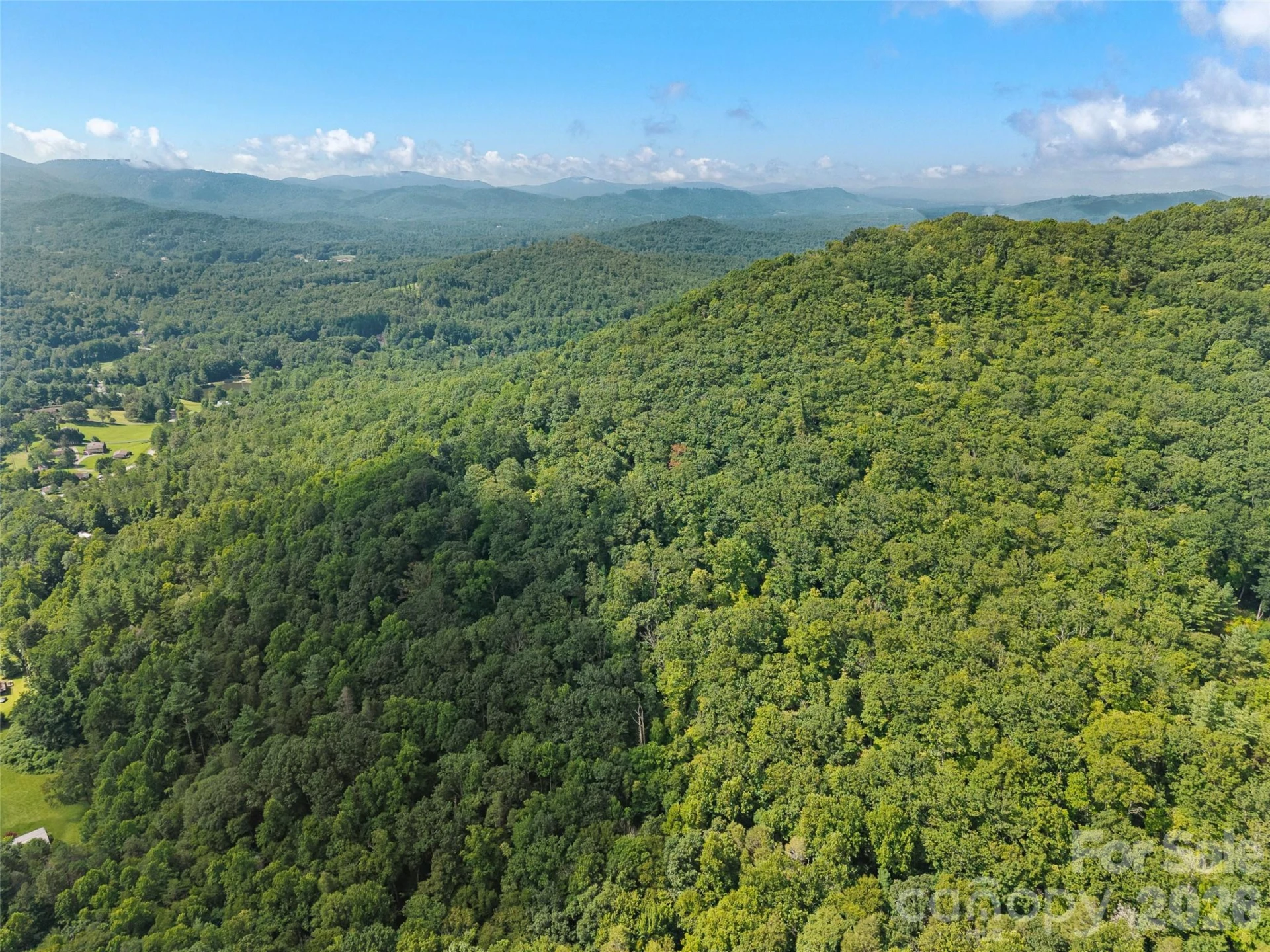 23.53 Acres Ballard Creek Road - Photo 9