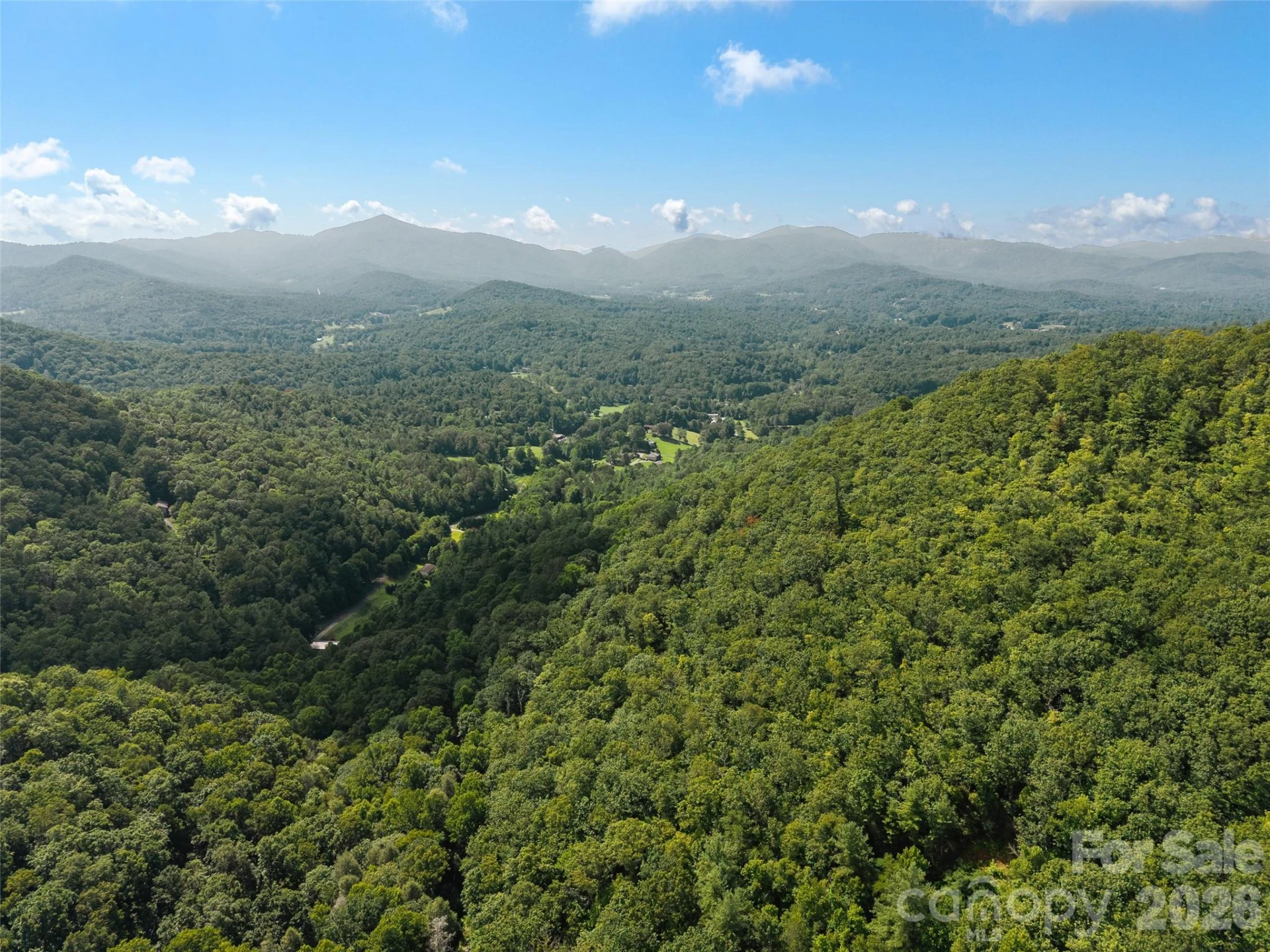 23.53 Acres Ballard Creek Road - Photo 10