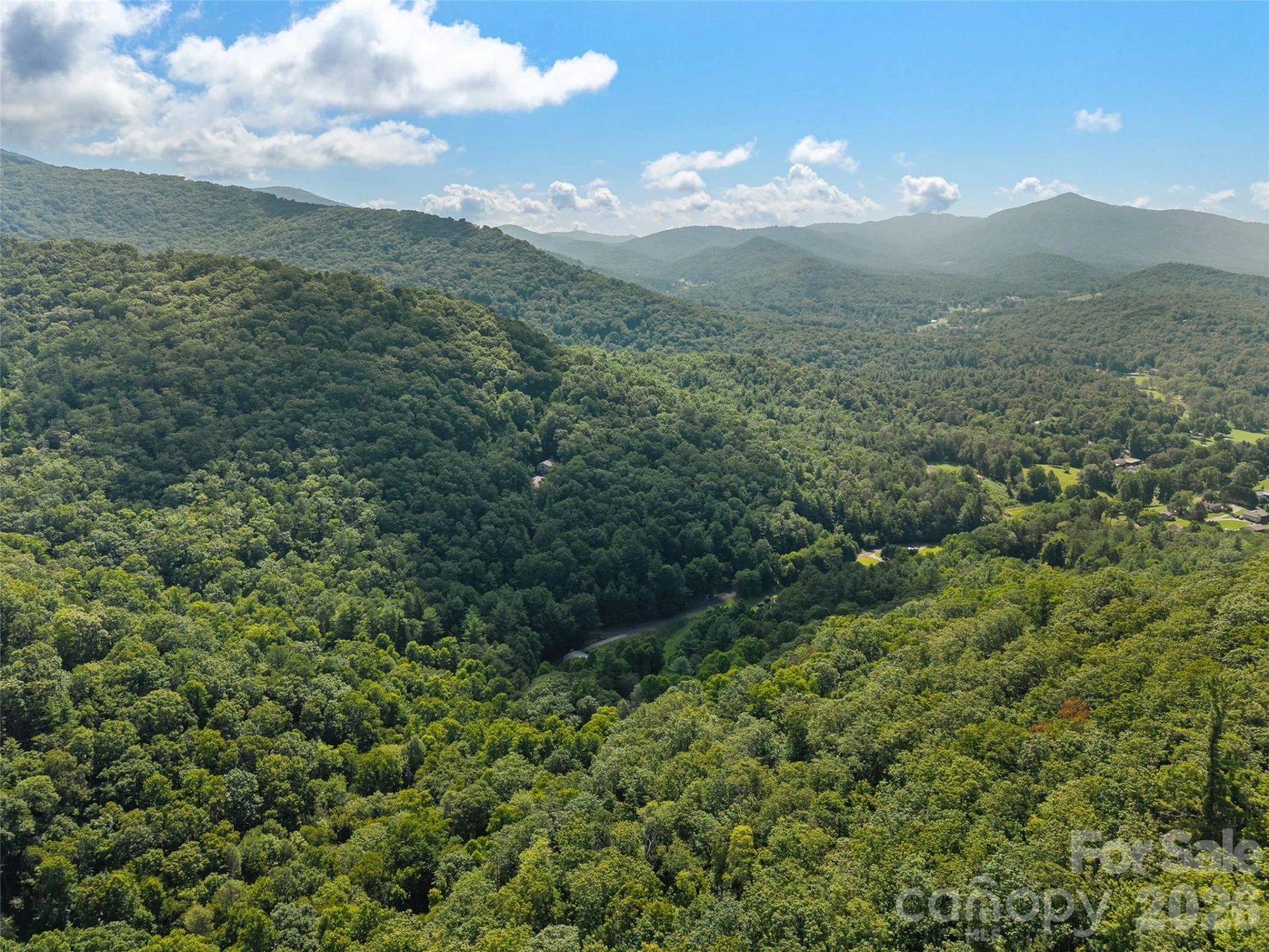 23.53 Acres Ballard Creek Road - Photo 11