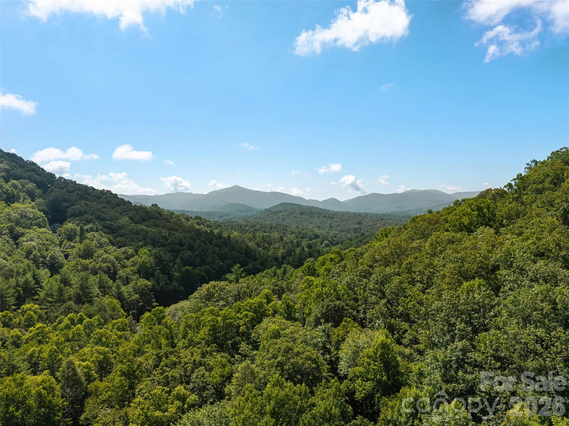 23.53 Acres Ballard Creek Road - Photo 12