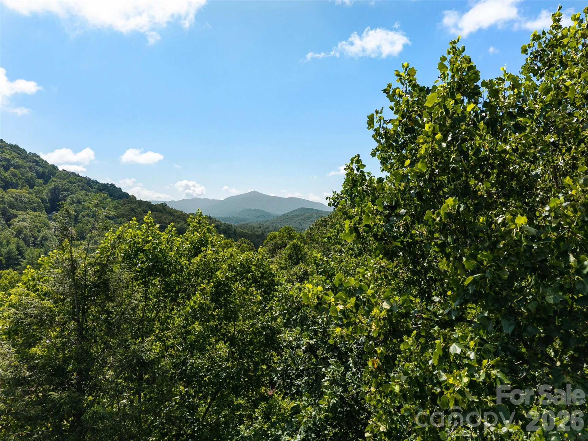 23.53 Acres Ballard Creek Road - Photo 13