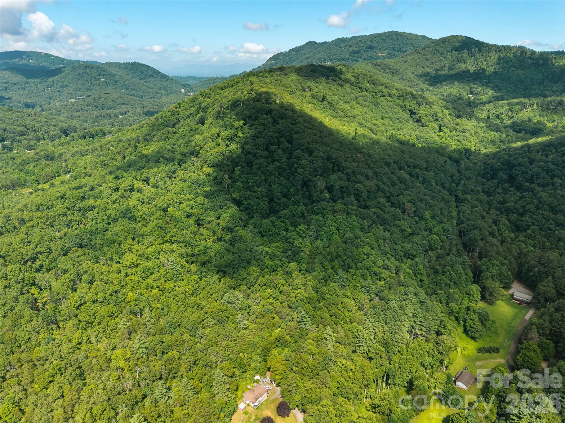23.53 Acres Ballard Creek Road - Photo 14