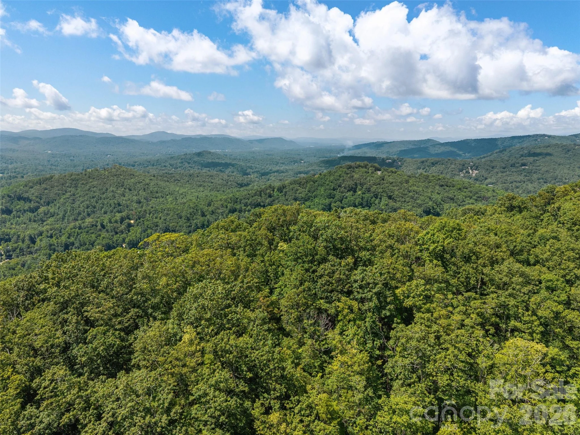 23.53 Acres Ballard Creek Road - Photo 16