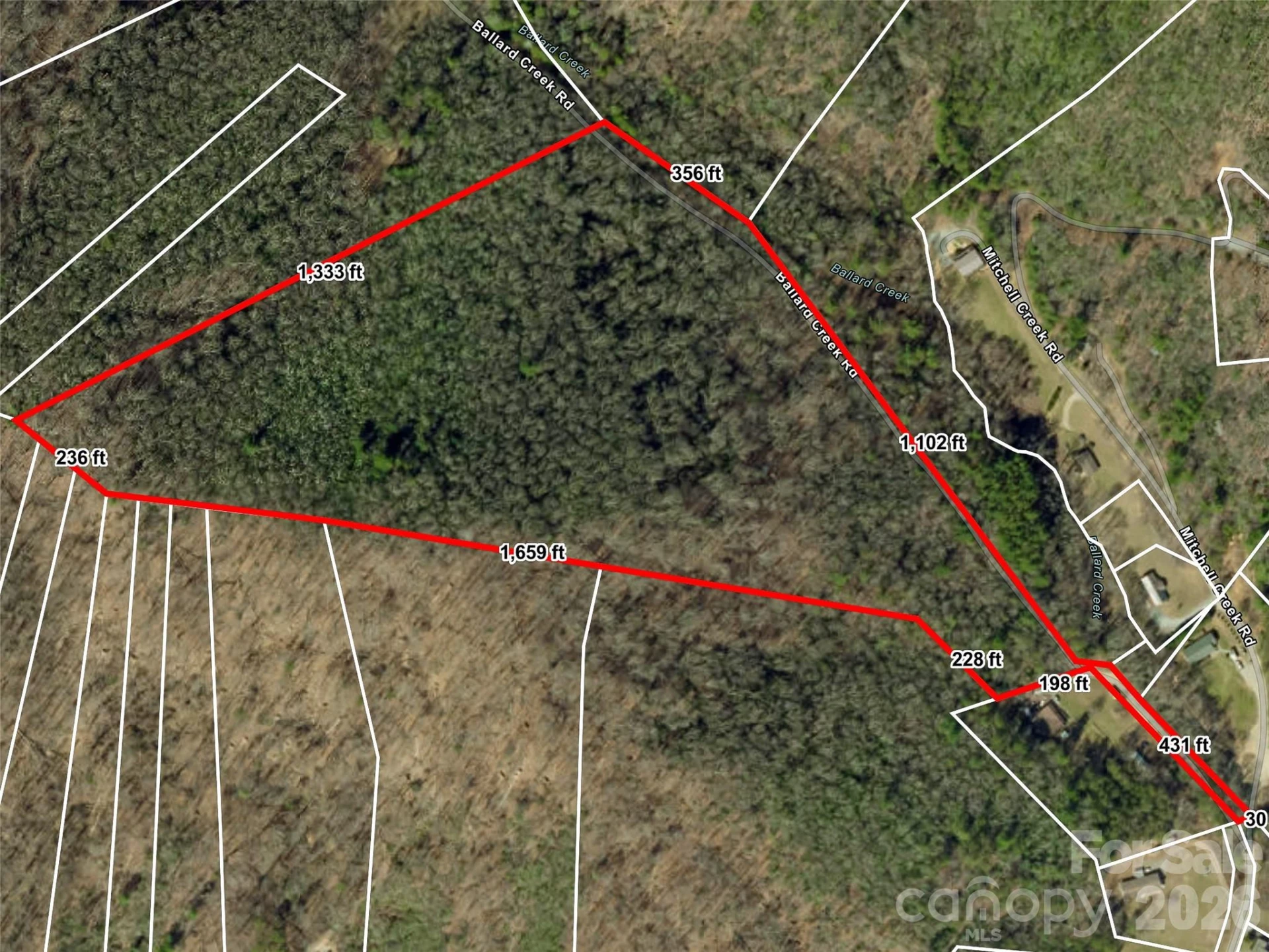 23.53 Acres Ballard Creek Road - Photo 17