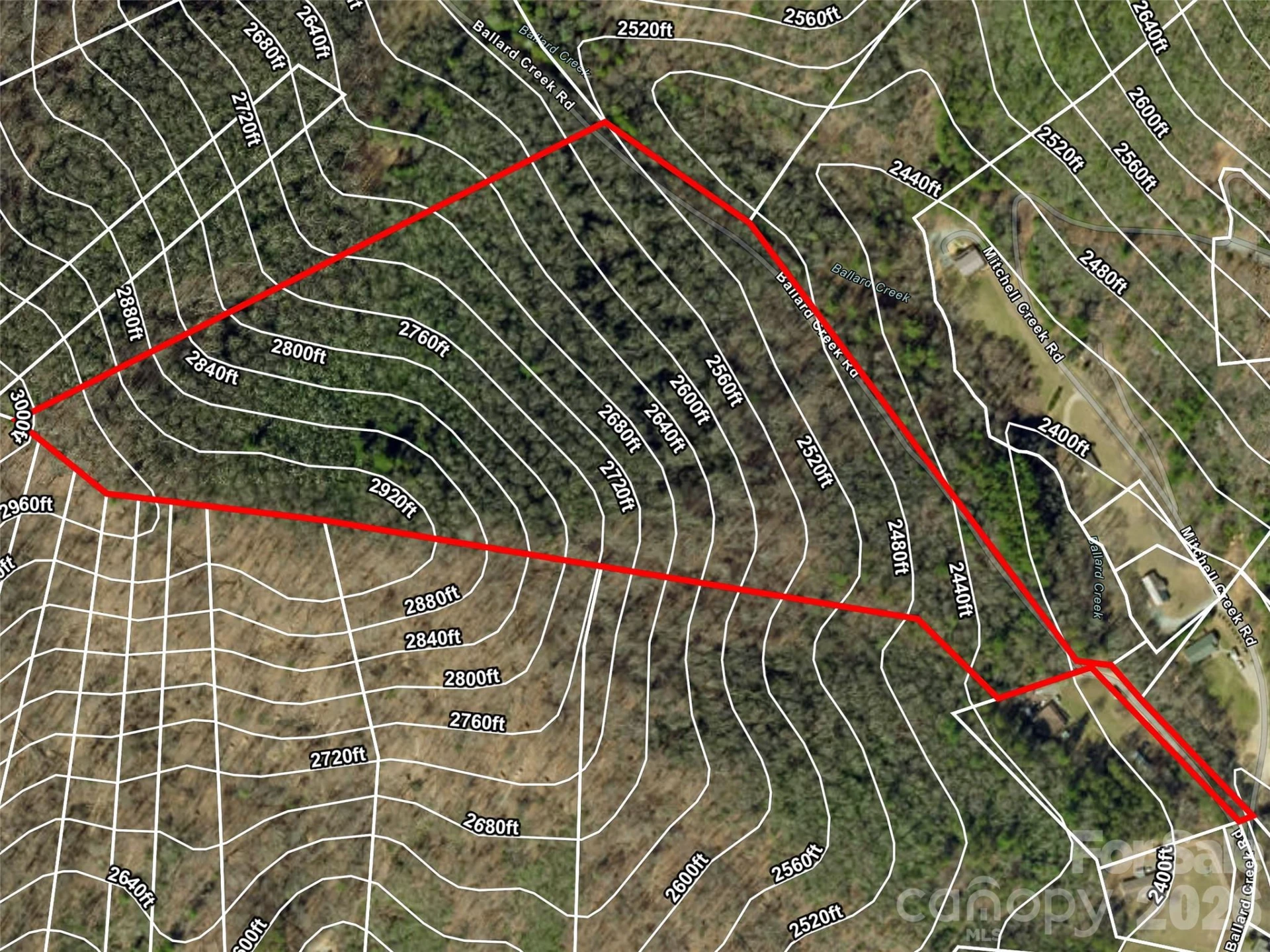 23.53 Acres Ballard Creek Road - Photo 18
