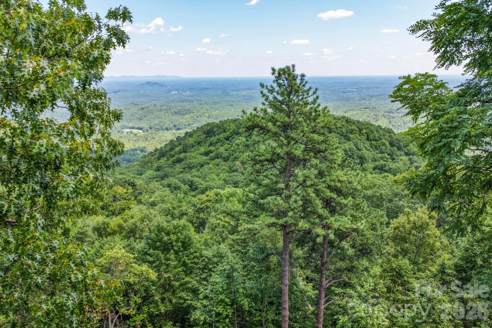 155 Hickory Nut Lane - Photo 46