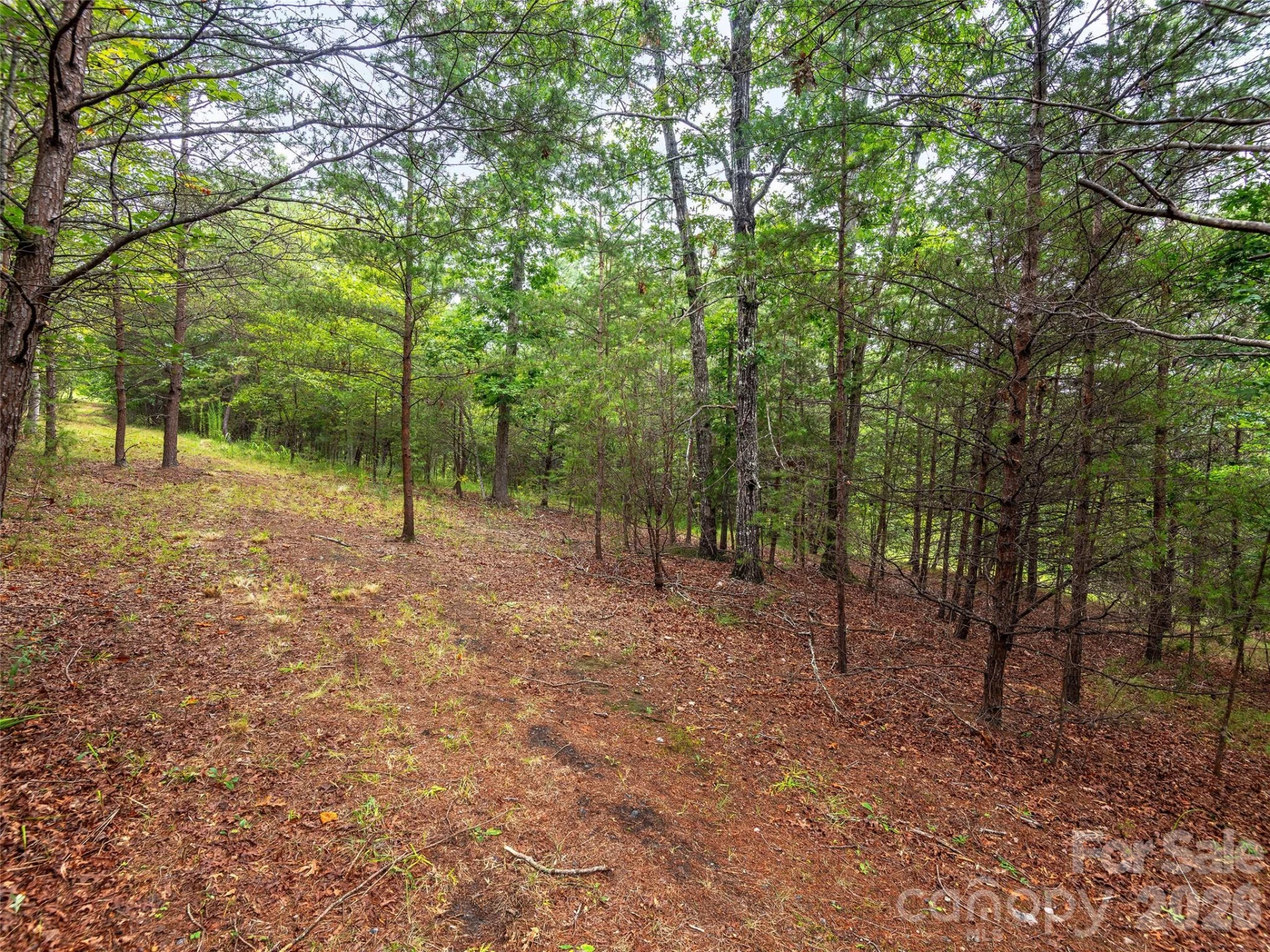 Lot #28 Parkway North Road #28 - Photo 6