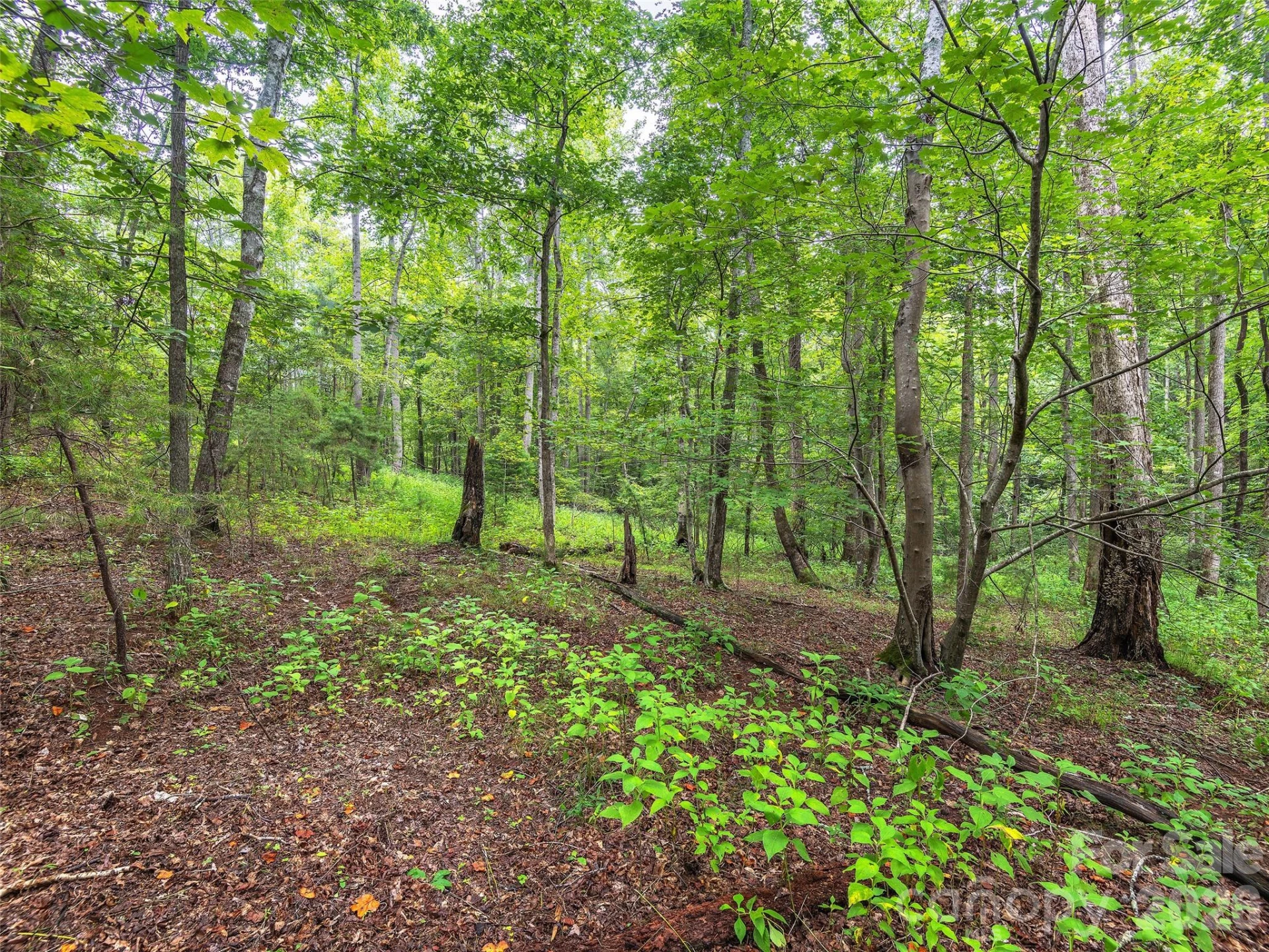 Lot #28 Parkway North Road #28 - Photo 12
