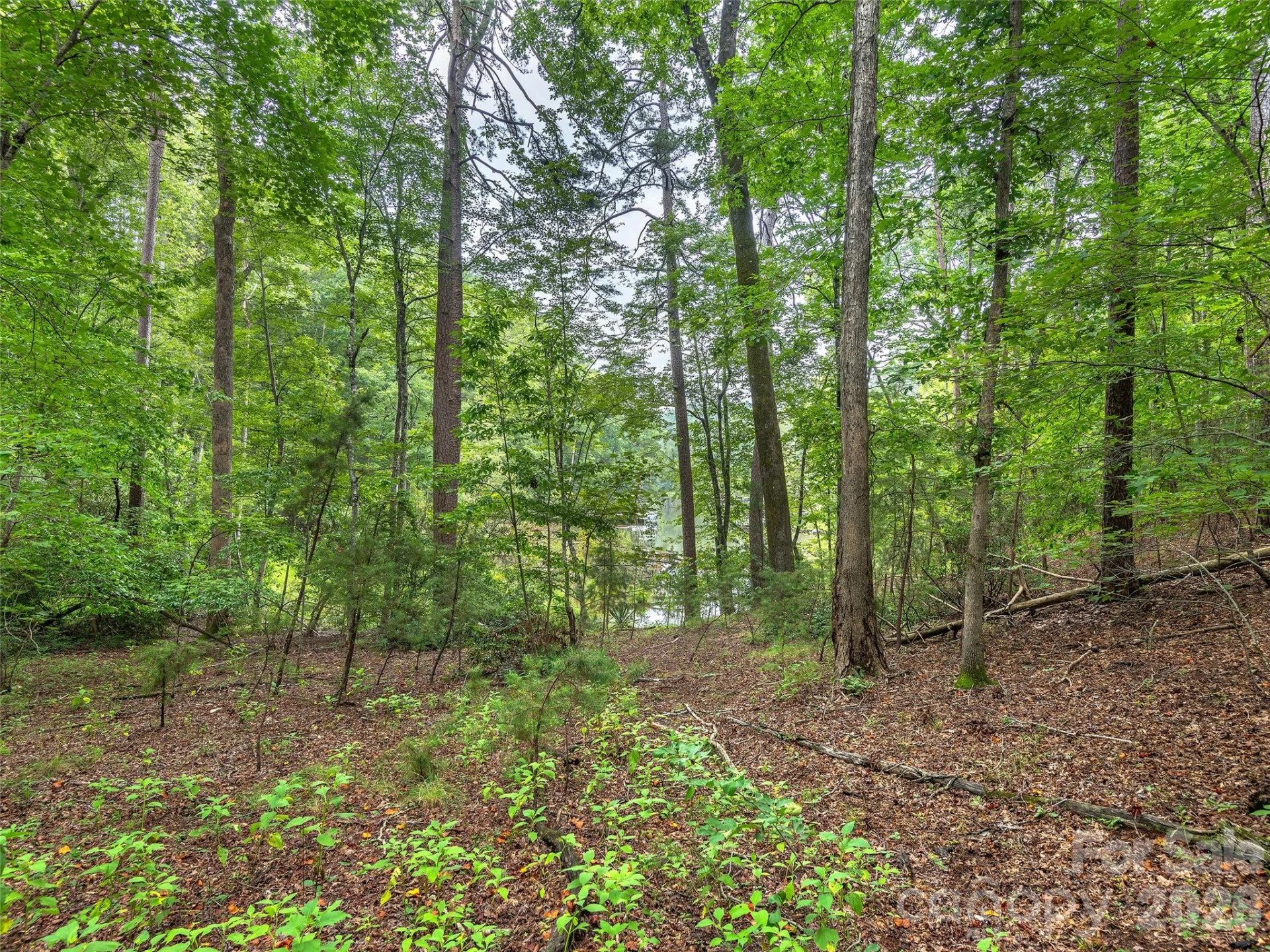 Lot #28 Parkway North Road #28 - Photo 13