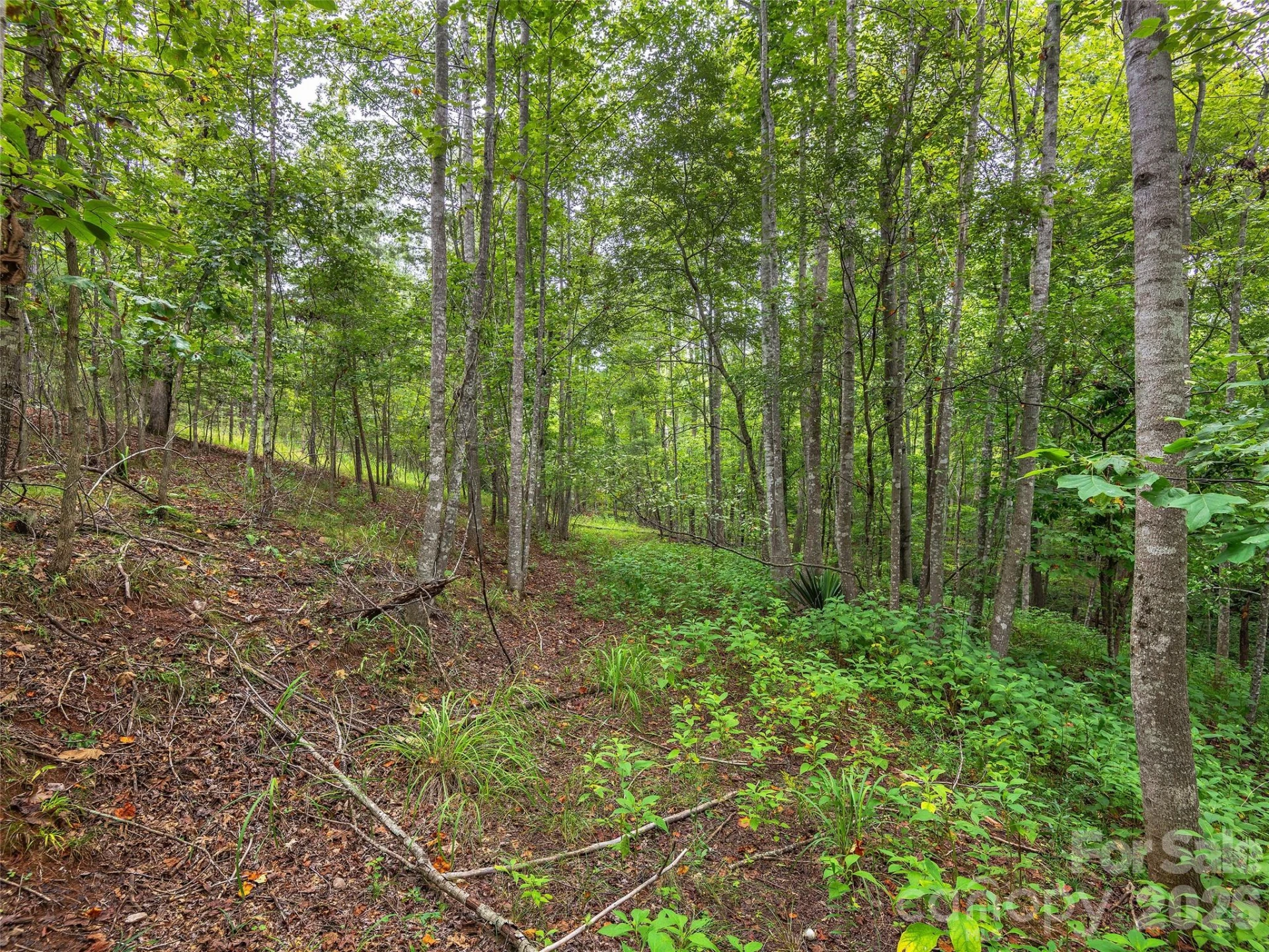 Lot #28 Parkway North Road #28 - Photo 14