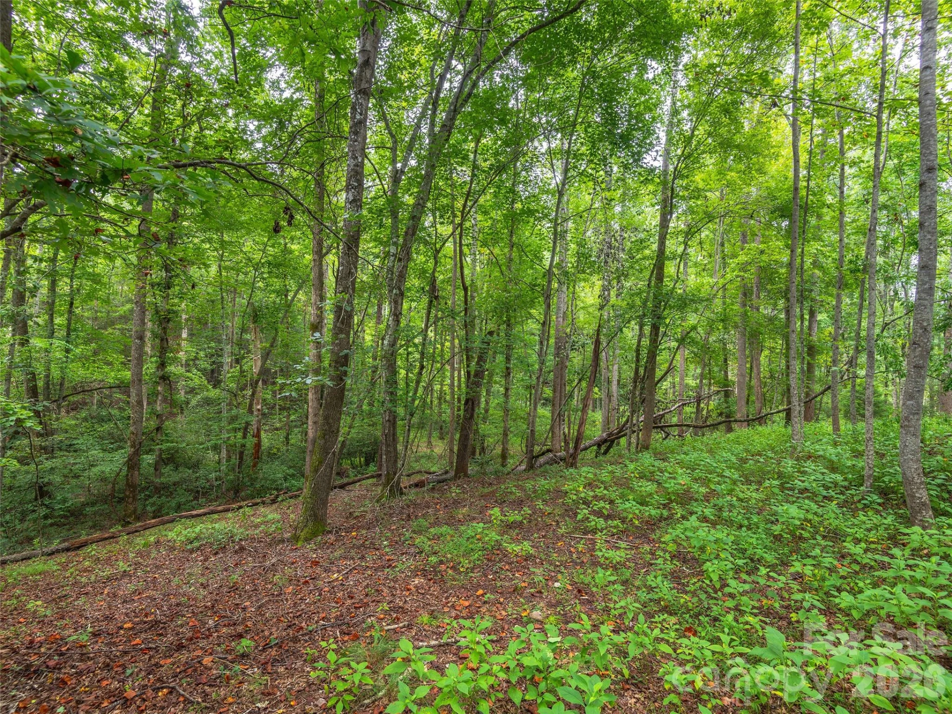 Lot #28 Parkway North Road #28 - Photo 15