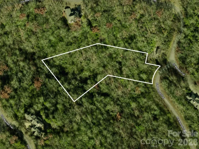 M11 Pine Mountain Trail, Brevard, NC, 28712