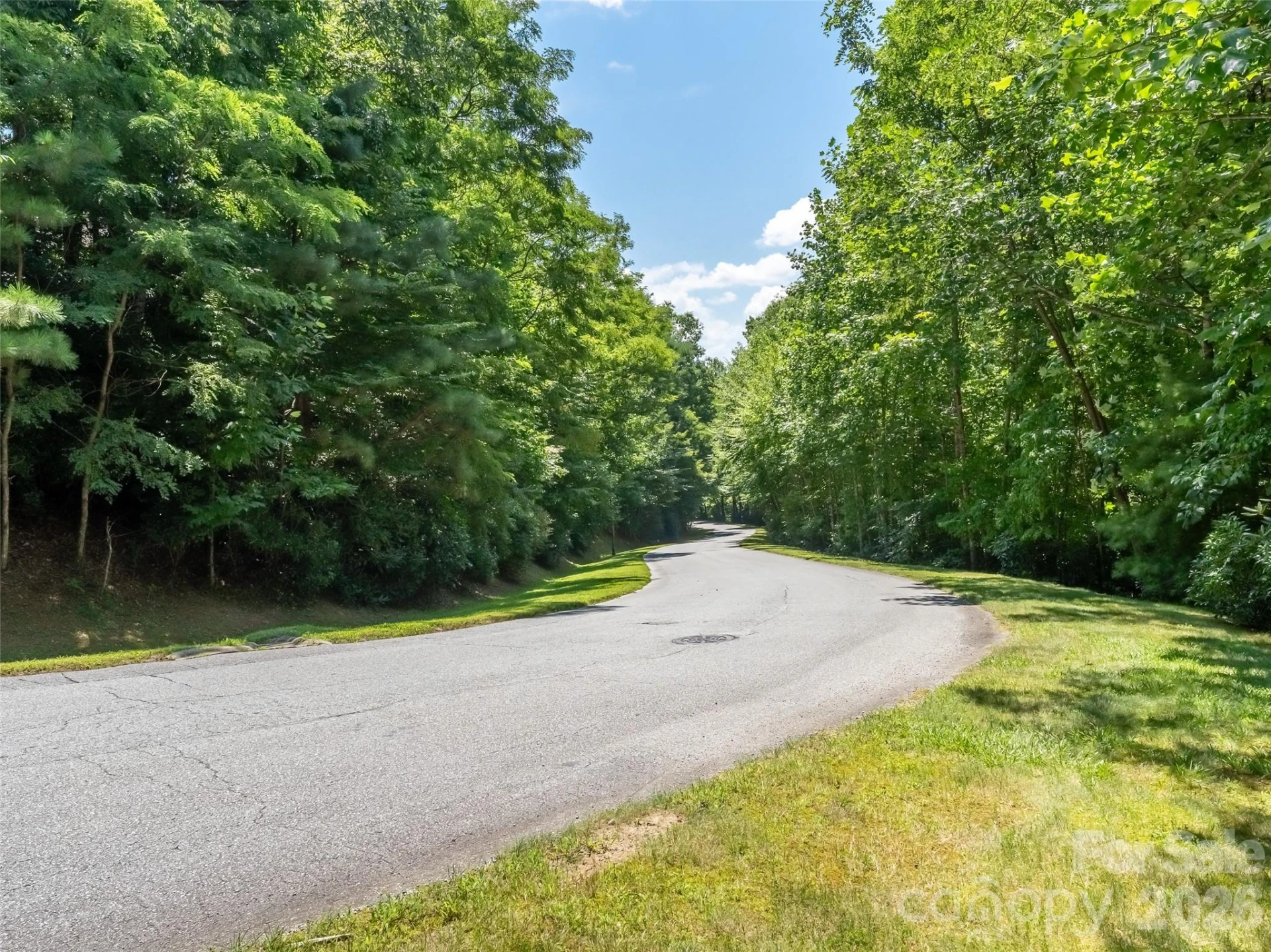 M11 Pine Mountain Trail - Photo 3