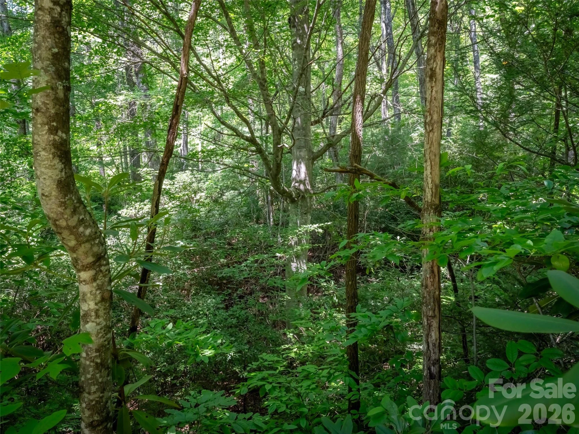 M11 Pine Mountain Trail - Photo 4