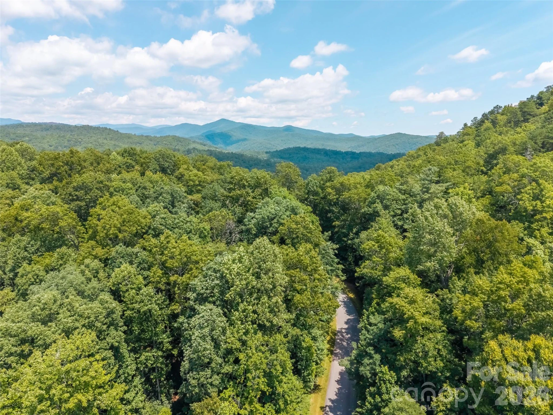 M11 Pine Mountain Trail - Photo 5
