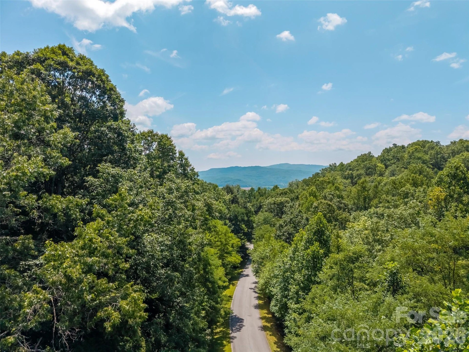 M11 Pine Mountain Trail - Photo 6