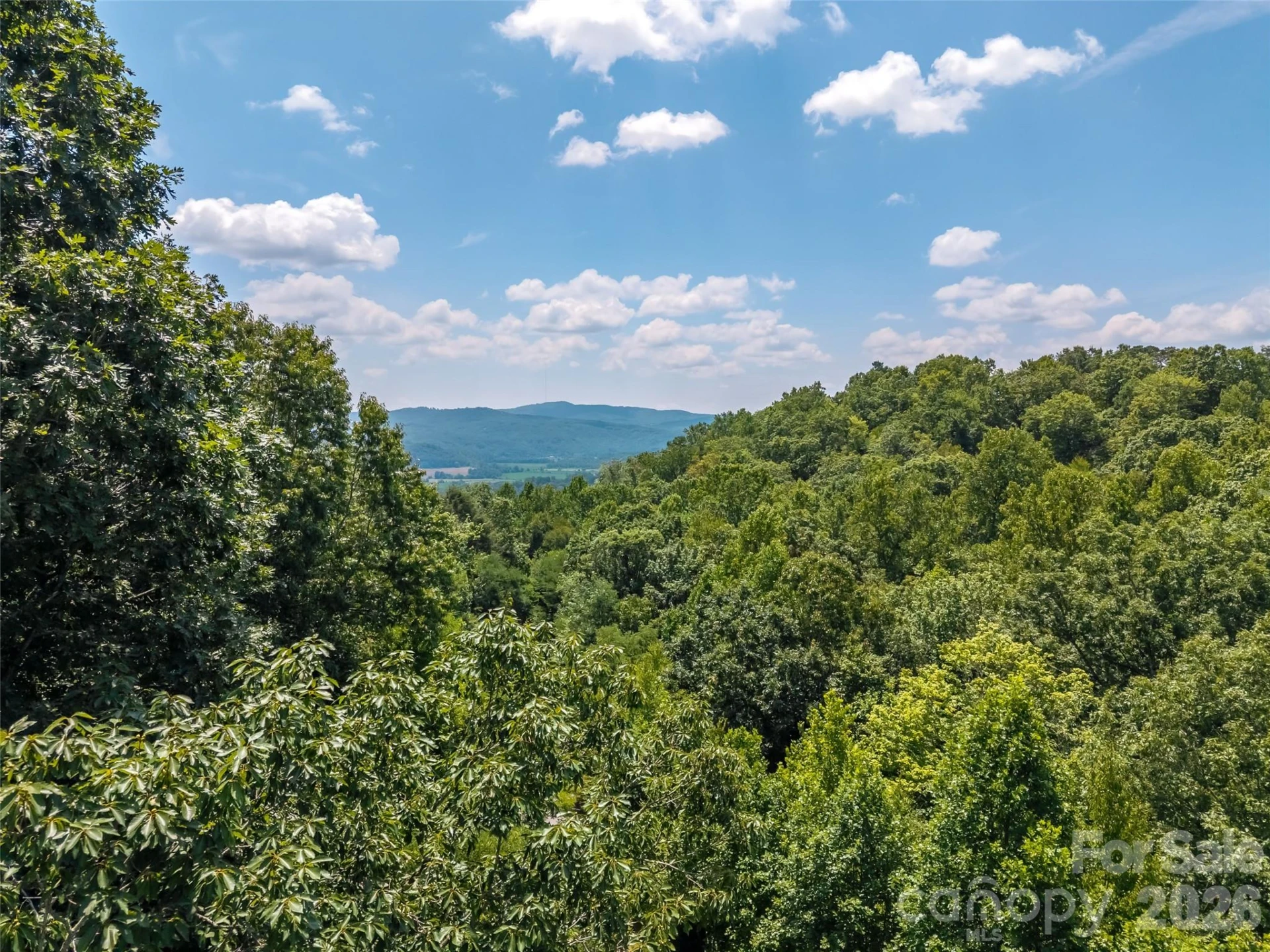 M11 Pine Mountain Trail - Photo 7