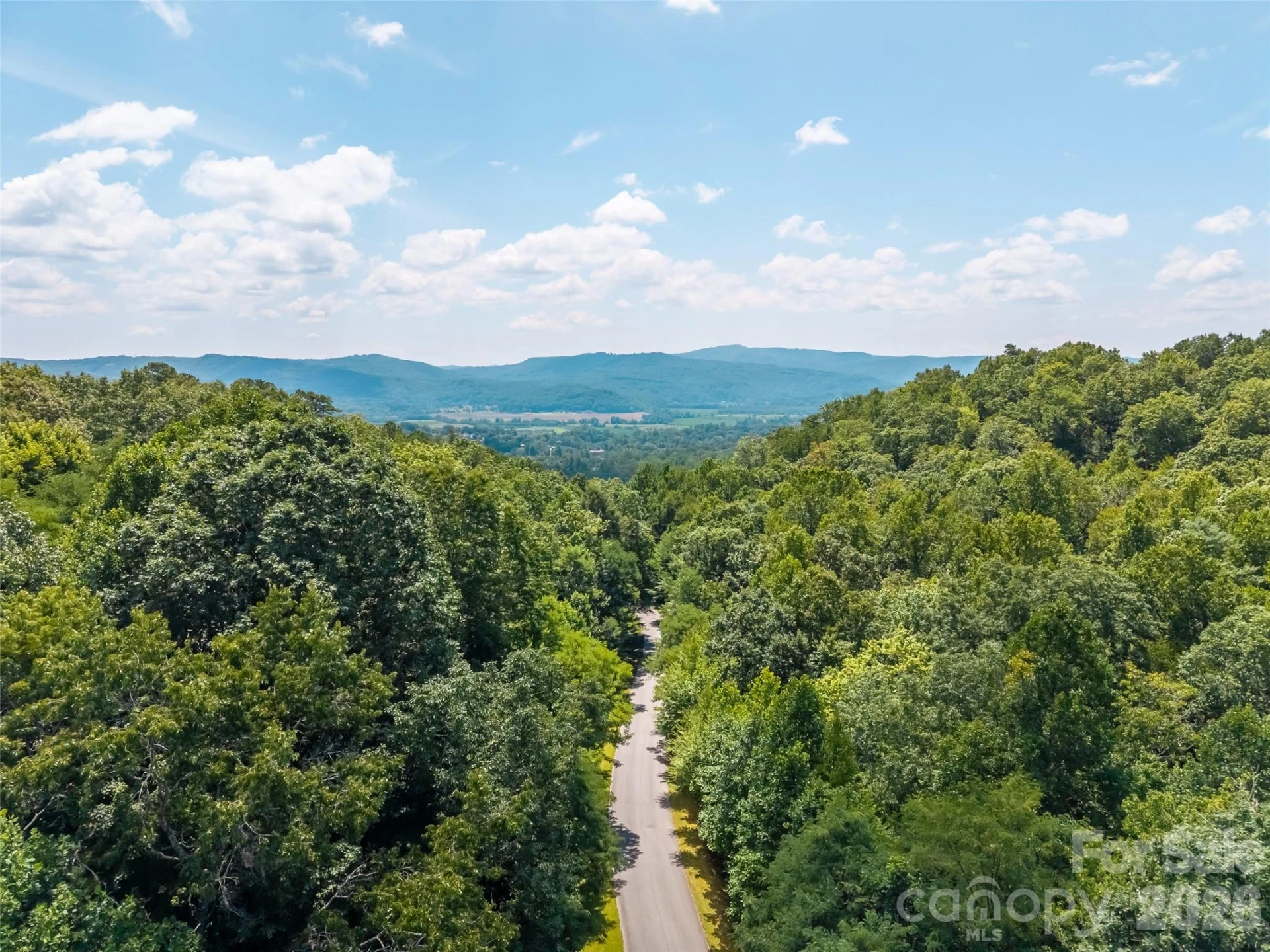 M11 Pine Mountain Trail - Photo 8