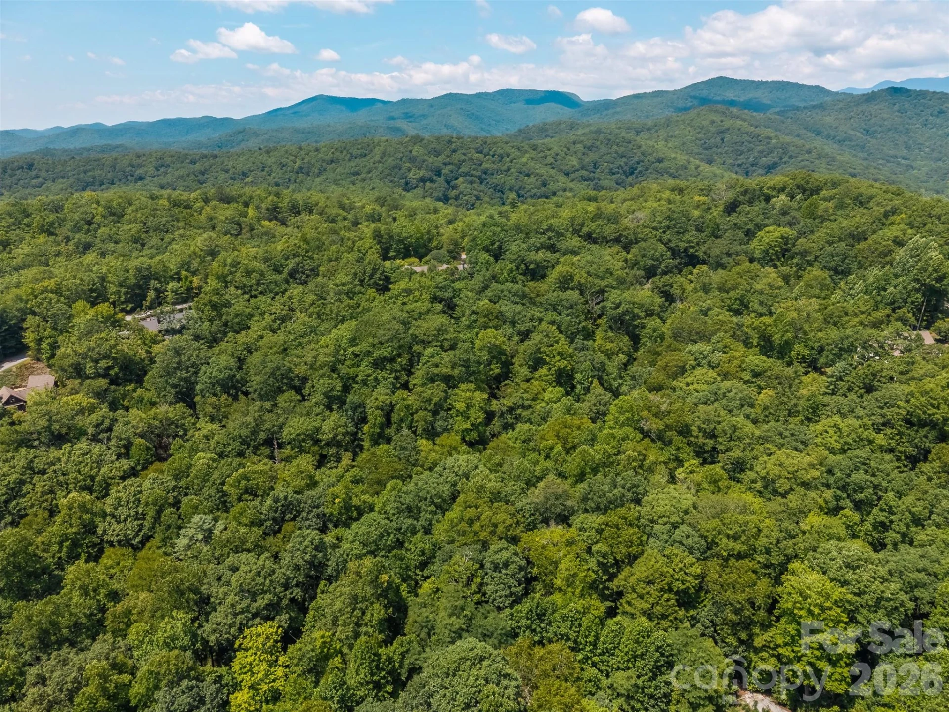 M11 Pine Mountain Trail - Photo 9