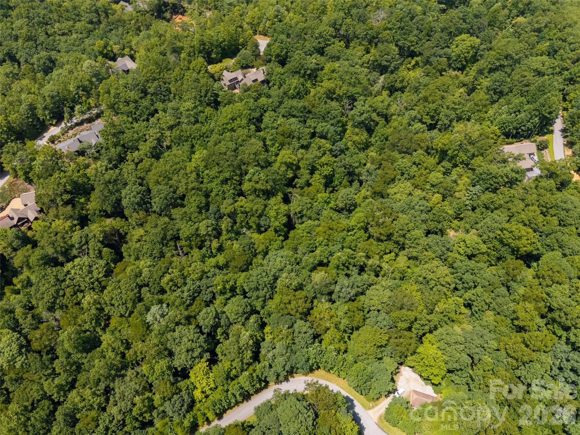 M11 Pine Mountain Trail - Photo 11