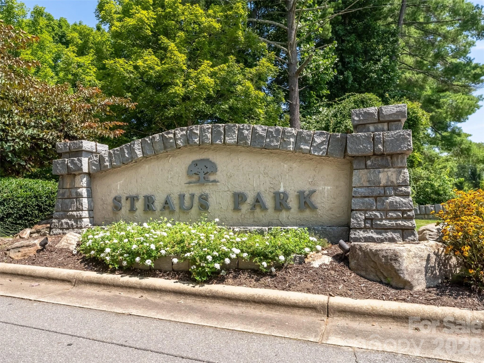 M11 Pine Mountain Trail - Photo 12