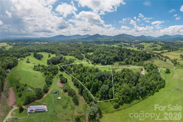 99999 Little Bo Lane, Leicester, NC, 28748