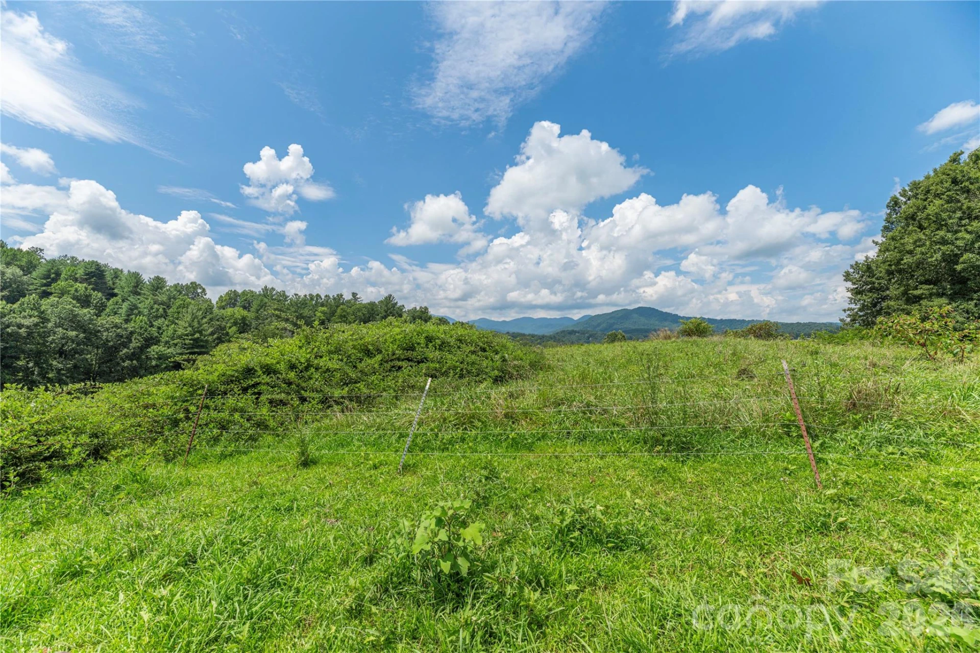 99999 Little Bo Lane - Photo 4