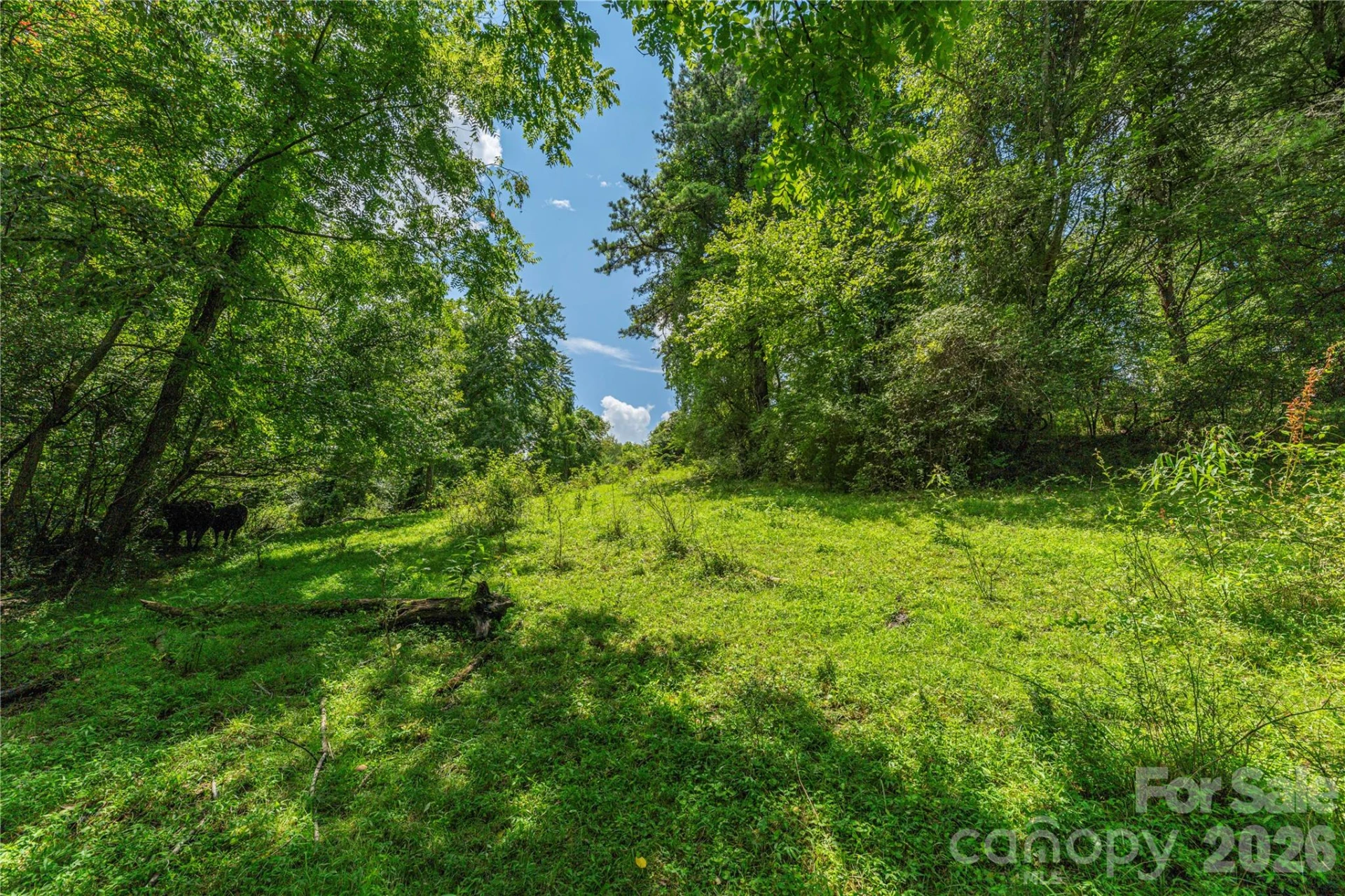 99999 Little Bo Lane - Photo 10