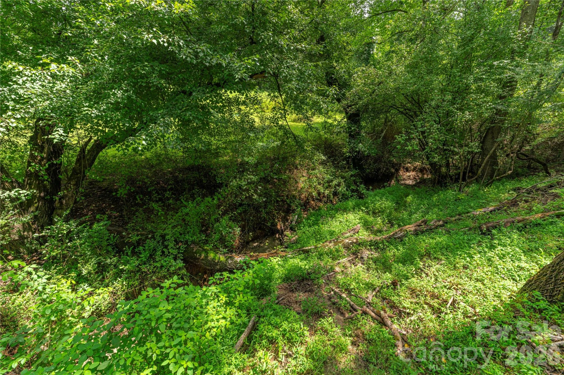 99999 Little Bo Lane - Photo 11