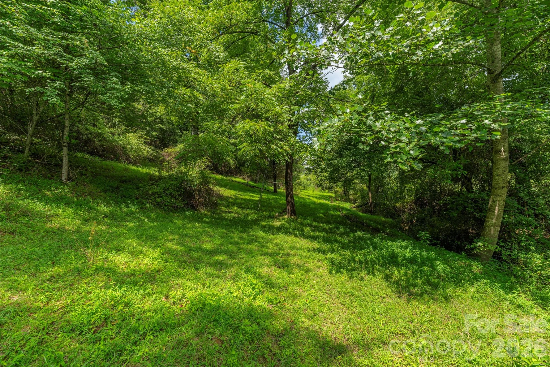 99999 Little Bo Lane - Photo 12