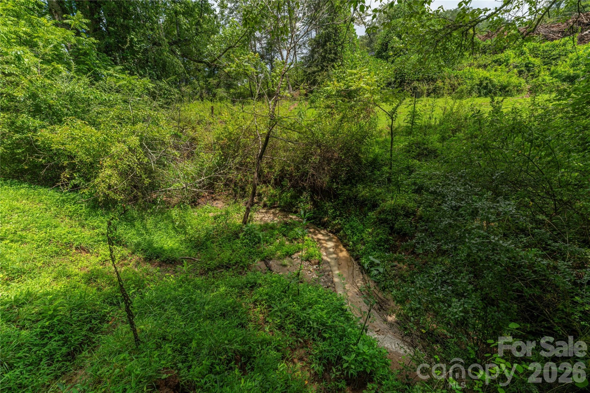 99999 Little Bo Lane - Photo 14